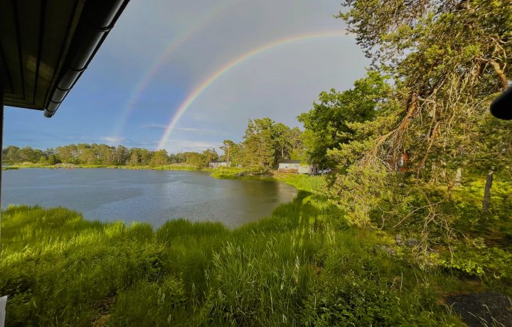 Regnbågar i Oskarshamn