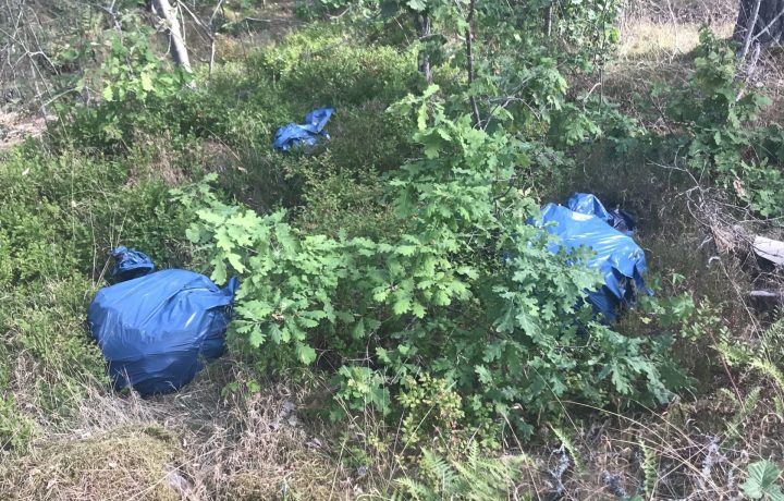 Nedskräpning i skogen utanför Oskarshamn