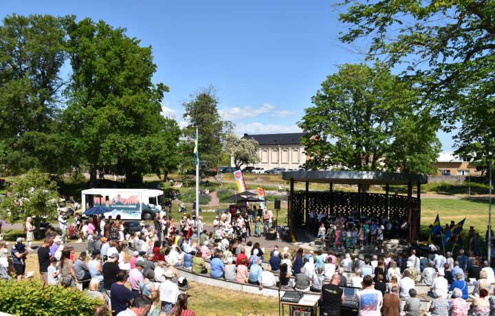 Nationaldagsfirande i stadsparken