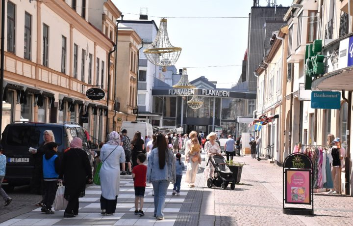 Tolvskillingsmarken i Oskarshamn, Flanaden