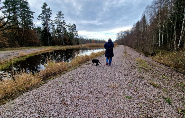 Tosse och Caroline