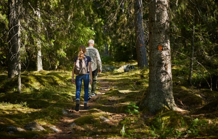 Man och kvinna som vandrar på led genom skog