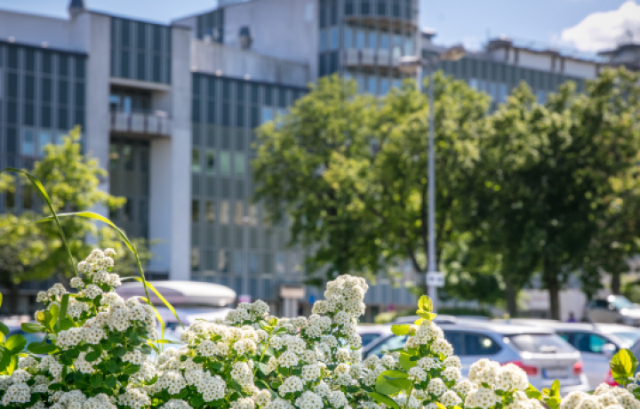 Västerviks sjukhus. Foto: Region Kalmar län