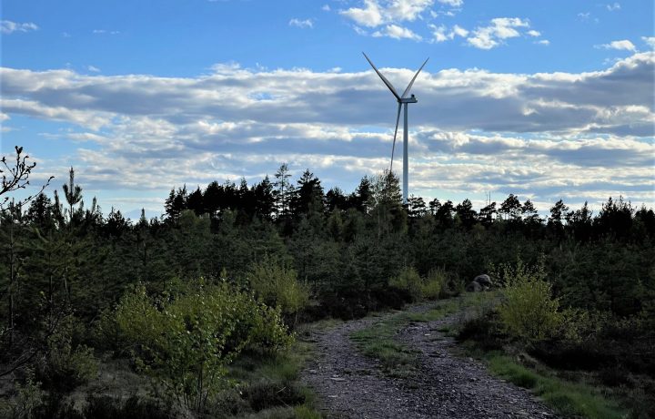 Vindkraft, vindsnurra i Mönsterås kommun